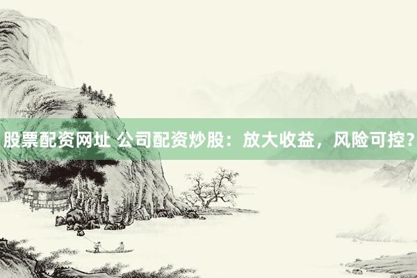 股票配资网址 公司配资炒股：放大收益，风险可控？