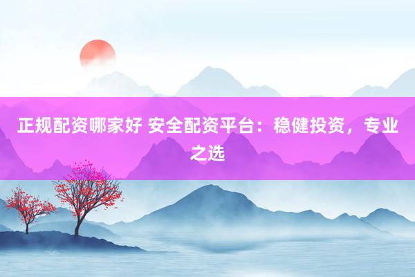 正规配资哪家好 安全配资平台：稳健投资，专业之选