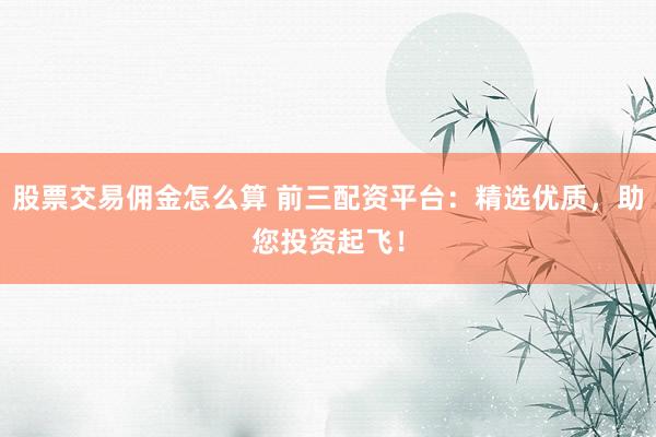 股票交易佣金怎么算 前三配资平台：精选优质，助您投资起飞！