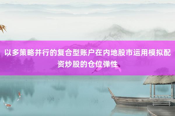 以多策略并行的复合型账户在内地股市运用模拟配资炒股的仓位弹性