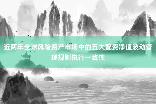 近两年全球风险资产市场中的五大配资净值波动管理规则执行一致性