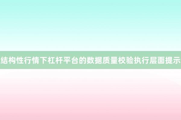 结构性行情下杠杆平台的数据质量校验执行层面提示